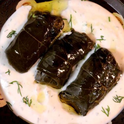 דולמה מאשכה / עלי גפן במילוי אורז ברוטב שום ושמיר