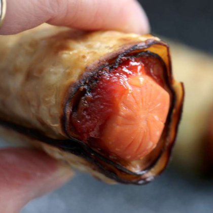 משה בתיבה כשר לפסח